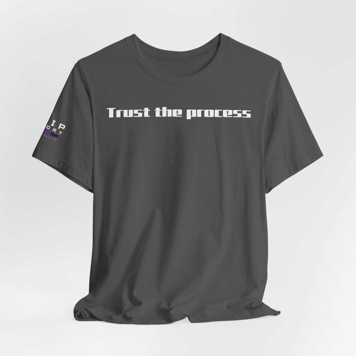 Grip Theory Jiu Jitsu Tee — Grappling Apparel Shirt (Trust the process)